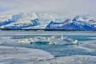 Iceland, Fjallsarlon Glacier Lagoon Art Print